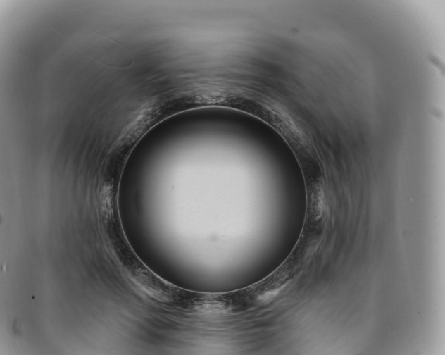 X0000094920598200711291314