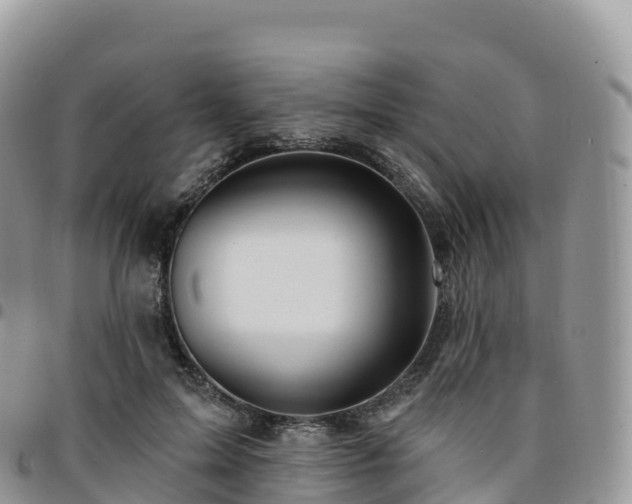 X0000094920599200711291314