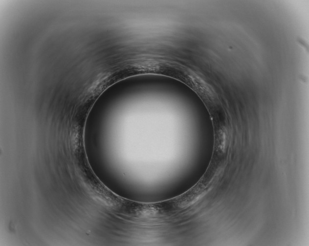 X0000094920600200711291314