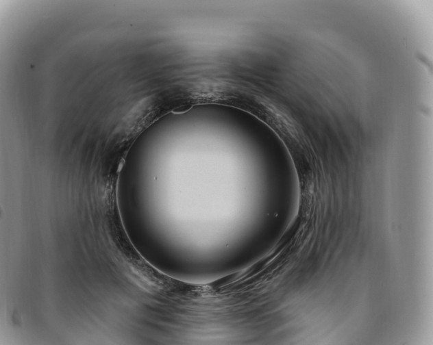 X0000094920601200711291314