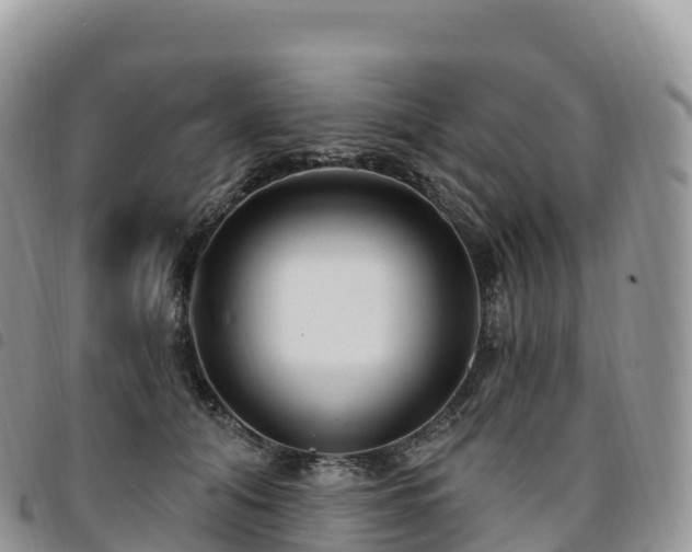 X0000094920608200711291314