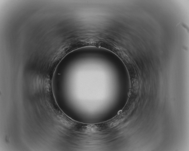 X0000094920612200711291314