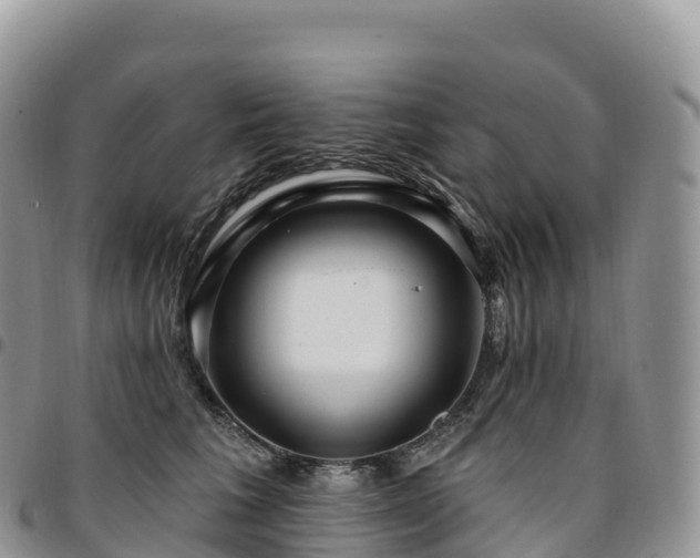 X0000094920613200711291314