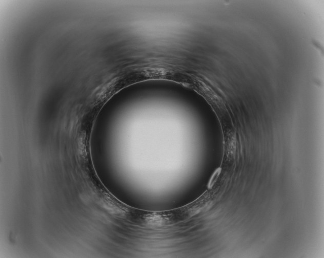 X0000094920616200711291314