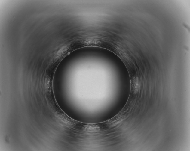 X0000094920619200711291314