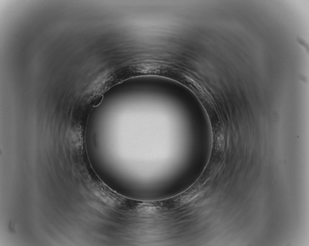 X0000094920620200711291314