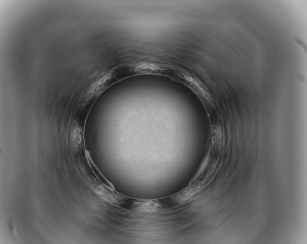 X0000094920621200711291314