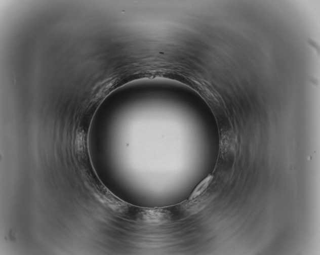 X0000094920623200711291314