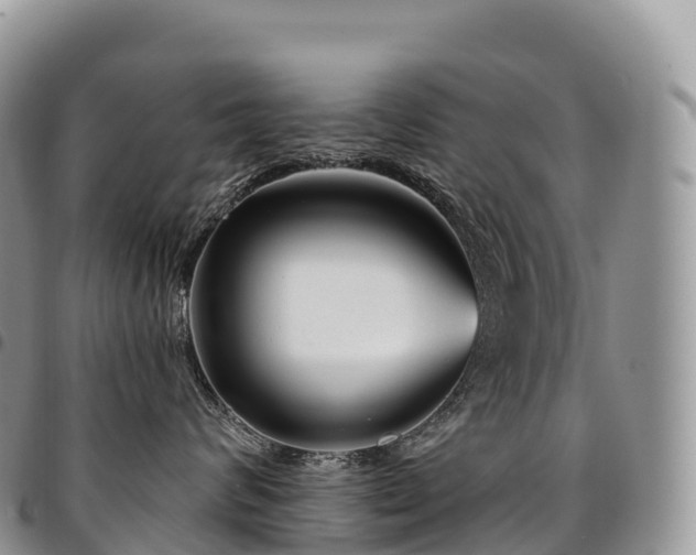 X0000094920624200711291314