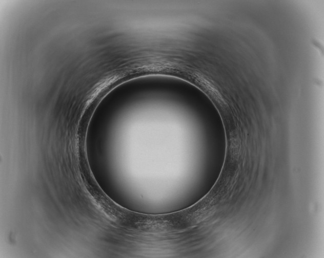 X0000094920626200711291313