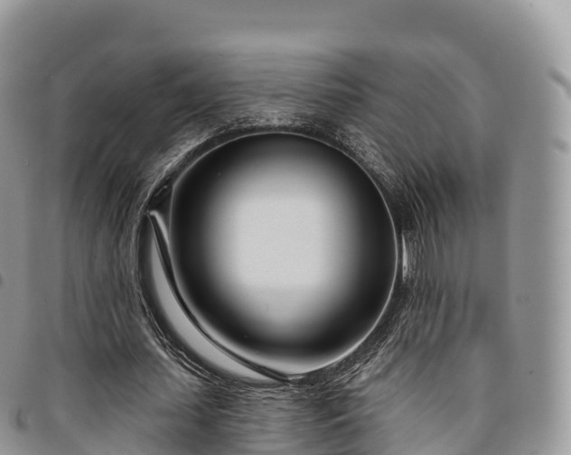 X0000094920627200711291313