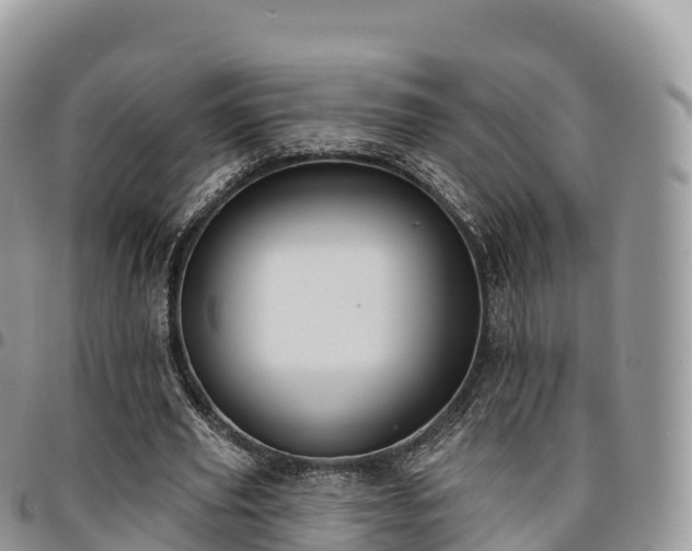 X0000094920629200711291313