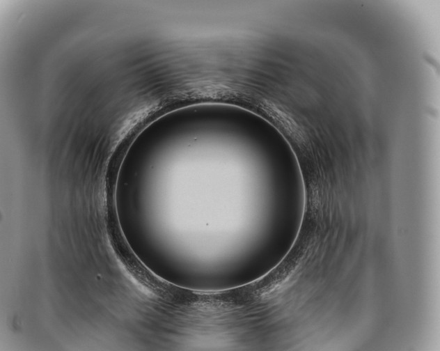 X0000094920630200711291313