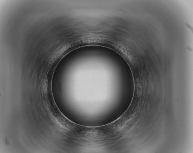 X0000094920631200711291313