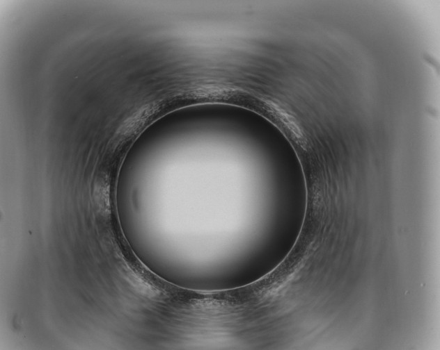 X0000094920633200711291313