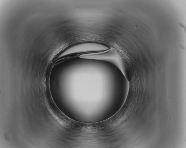 X0000094920634200711291313