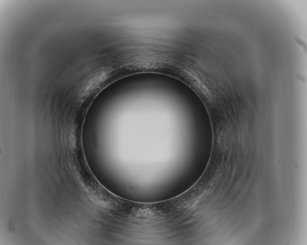 X0000094920635200711291313
