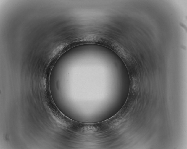 X0000094920636200711291313
