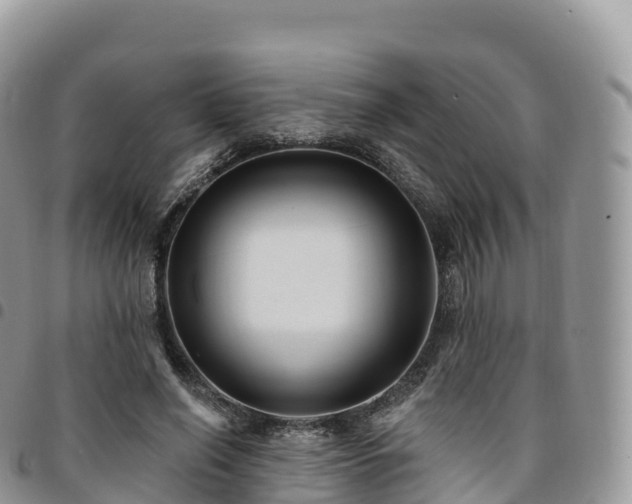 X0000094920638200711291313