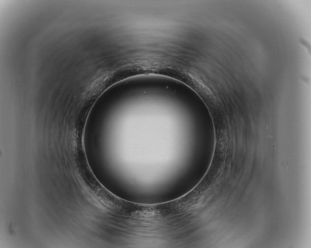 X0000094920639200711291313