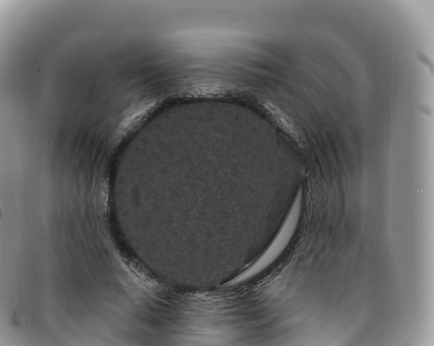 X0000094920640200711291313