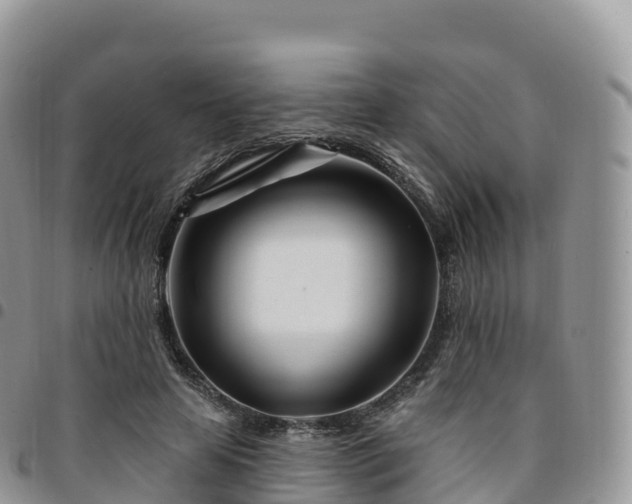 X0000094920641200711291313