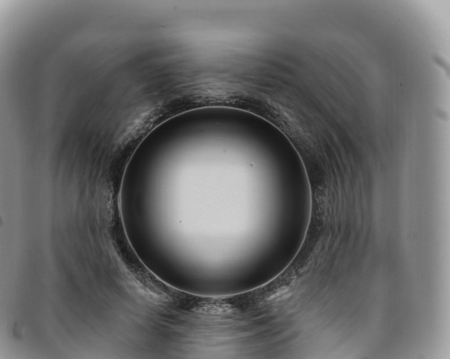 X0000094920642200711291313