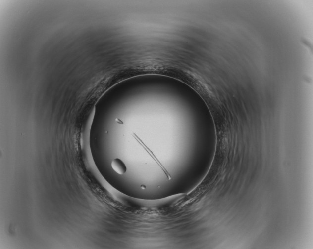 X0000094920643200711291313