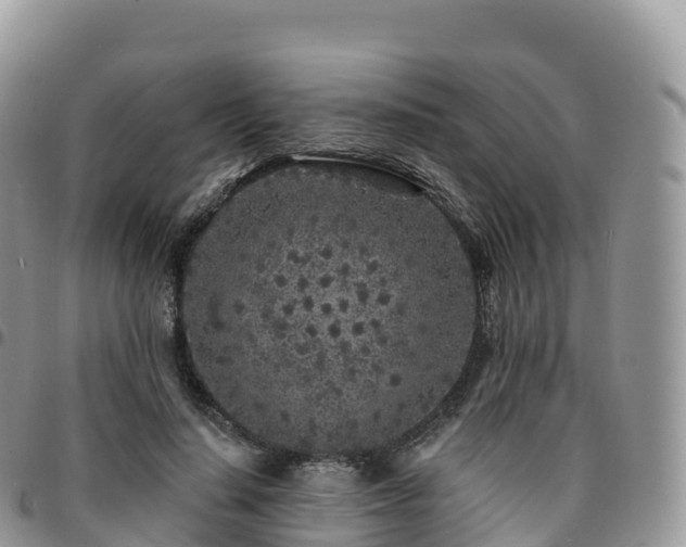 X0000094920644200711291313