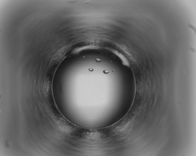 X0000094920645200711291313