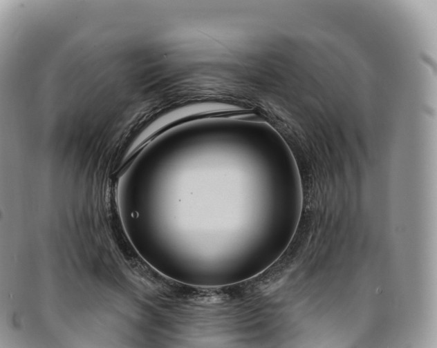 X0000094920646200711291313