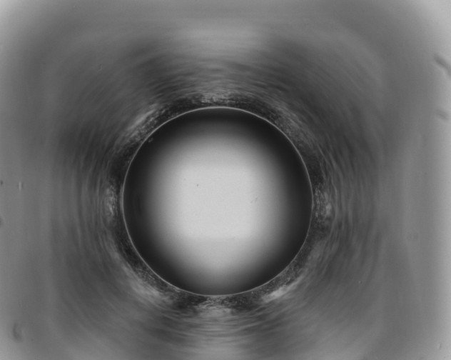 X0000094920648200711291313