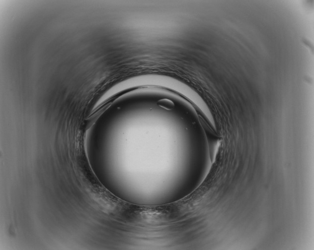 X0000094920650200711291313