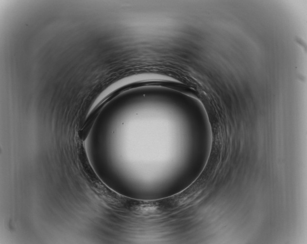 X0000094920651200711291313