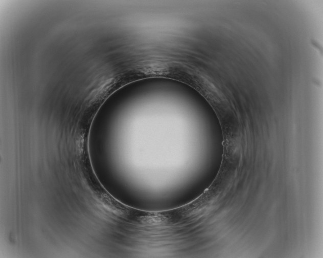 X0000094920652200711291313