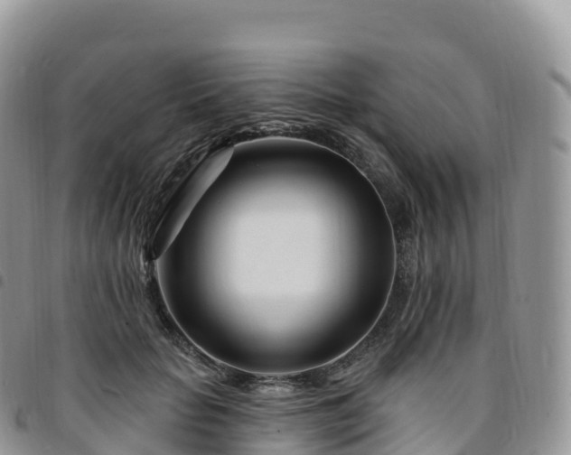 X0000094920653200711291313