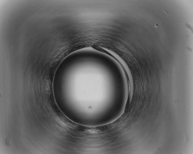 X0000094920654200711291313