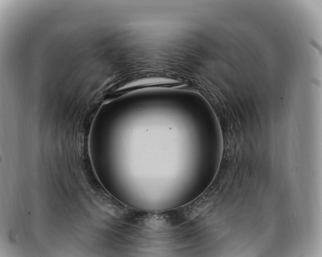 X0000094920656200711291313