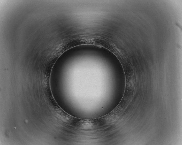 X0000094920658200711291313