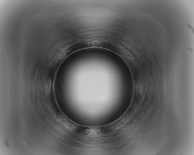 X0000094920660200711291313
