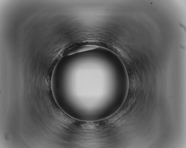 X0000094920661200711291313