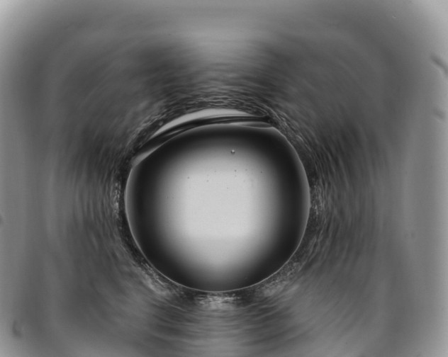 X0000094920664200711291313