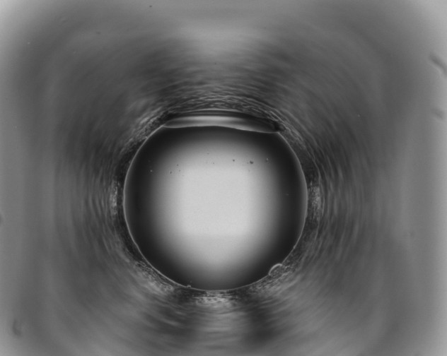 X0000094920668200711291313