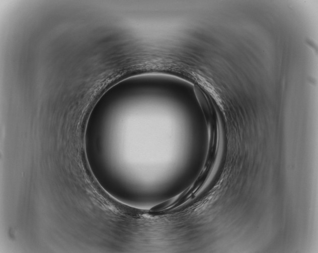 X0000094920673200711291313