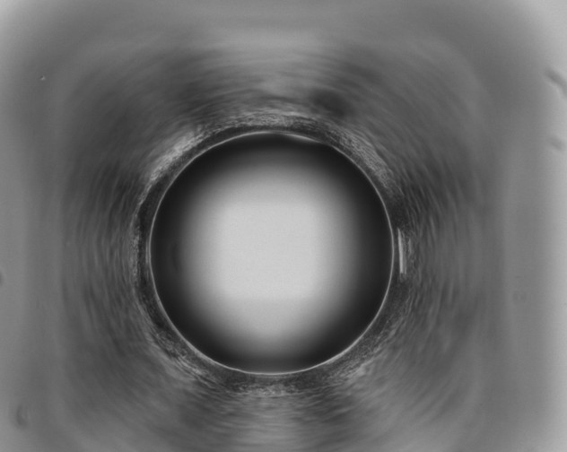 X0000094920675200711291313