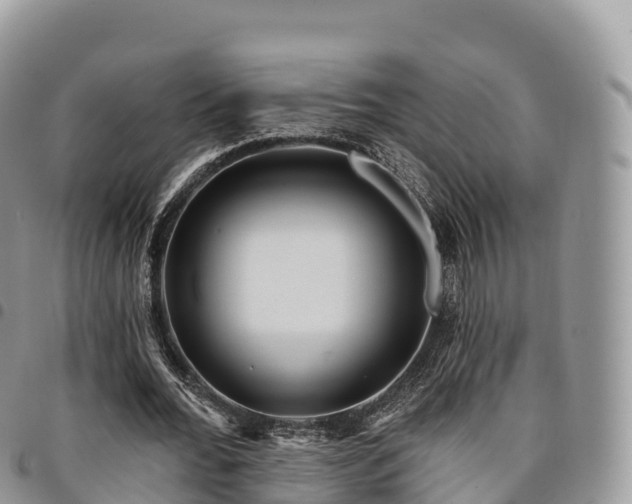 X0000094920676200711291313