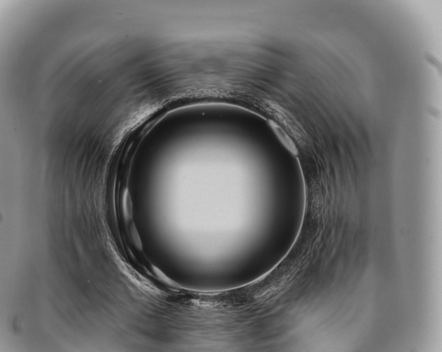 X0000094920677200711291313
