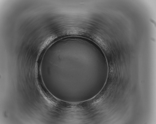 X0000094920678200711291313