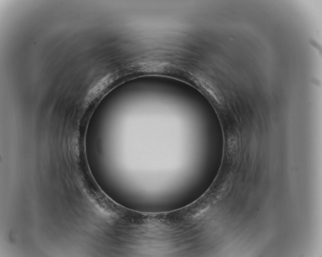 X0000094920682200711291313