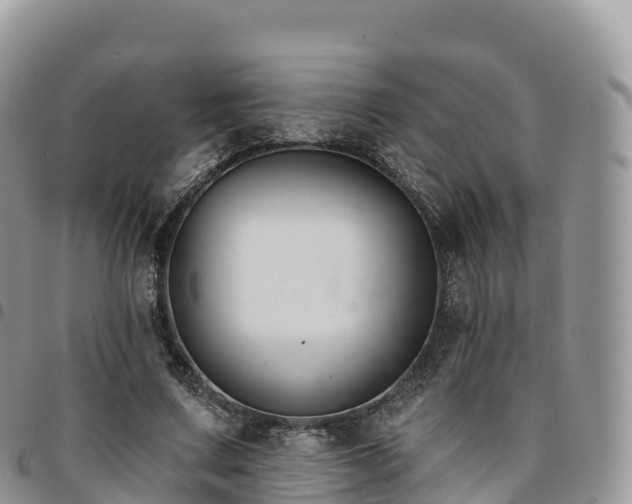 X0000094920683200711291313